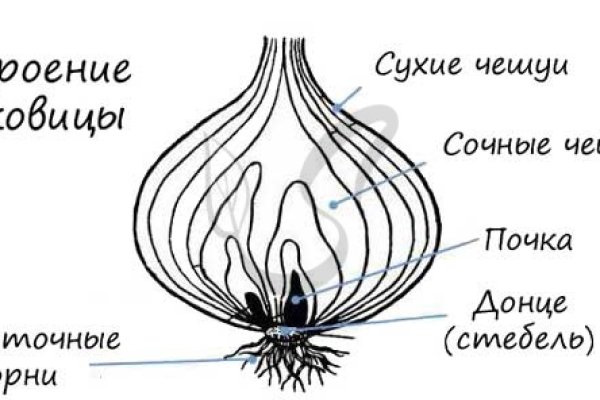 Кракен нарка шоп