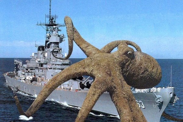 Кракен актуальное зеркало
