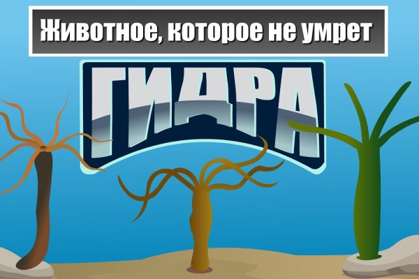 Сайт кракен зайти